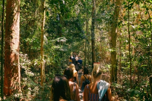 Waterfall, Wildlife and Rainforest Tour from Cairns
