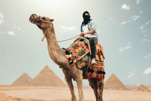 Fra Cairo: Guidet 4-dages tur til Kairo og Det Røde Hav med transfer