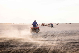 6-dages pakke til Hurghada og Kairo: Det Røde Hav, pyramider og safari