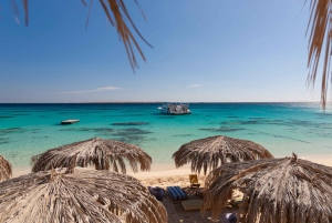 6-dages pakke til Hurghada og Kairo: Det Røde Hav, pyramider og safari