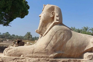Kairo: 2-dagers tur til det gamle Egypt med pyramider og museer