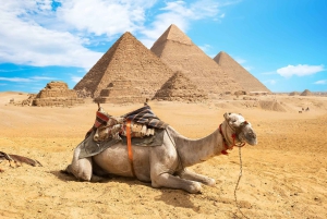 Kairo: 2-dagers tur til det gamle Egypt med pyramider og museer