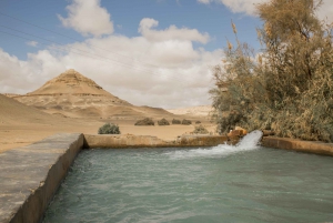 Каир: 2-дневный лагерь в оазисе Бахария и тур по пустыне