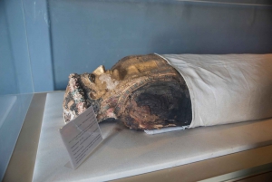 Каир: 2-дневный лагерь в оазисе Бахария и тур по пустыне