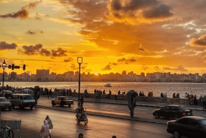 Kairo: Arkeologisk dagstur til Alexandria