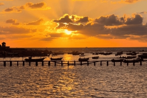 Kairo: Arkeologisk dagstur til Alexandria