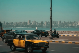 Kairo: Arkeologisk dagstur til Alexandria