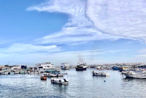 Kairo: Arkeologisk dagstur til Alexandria