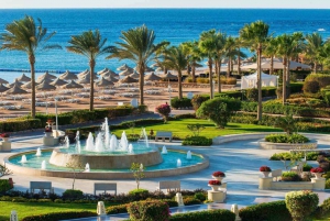 Cairo: Day Tour to the Red Sea with Lunch