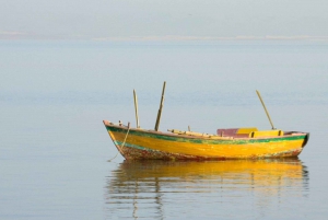 Kairo: Fayoum, Wadi El Rayan og Wadi al Hitan 4x4-tur