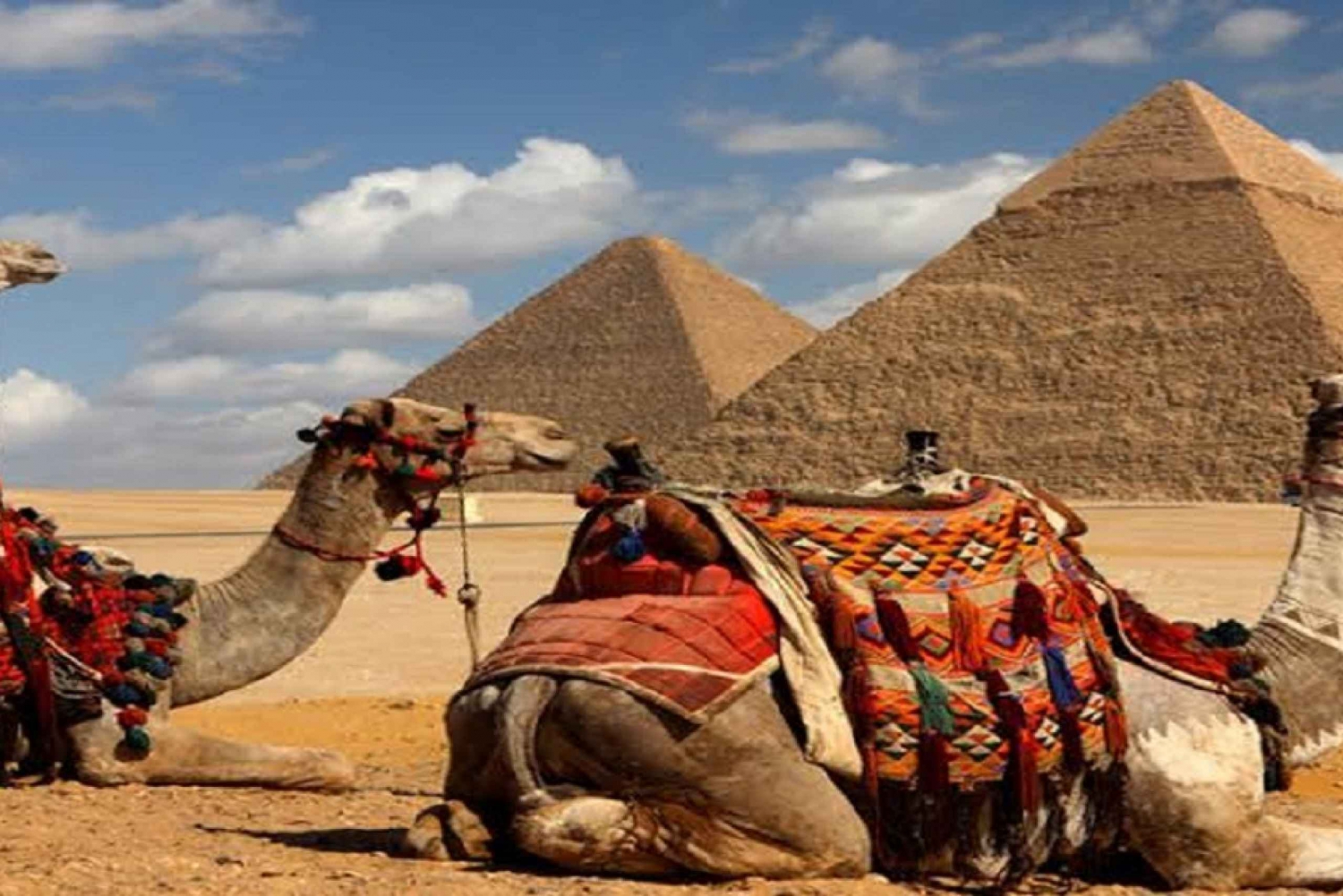 Kairo: Giza-pyramiderne og Sfinksen med kameltur og entré