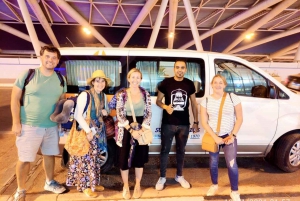 Trasferimento privato da Il Cairo a El Fayoum