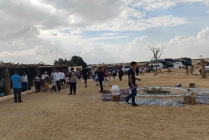 Cairo: White Desert and Bahariya Oasis Private Day Tour