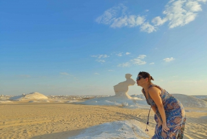 Cairo: White Desert and Bahariya Oasis Private Day Tour