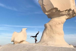 Caïro: Bahariya Oasis & Witte Woestijn Een privé-dagavontuur