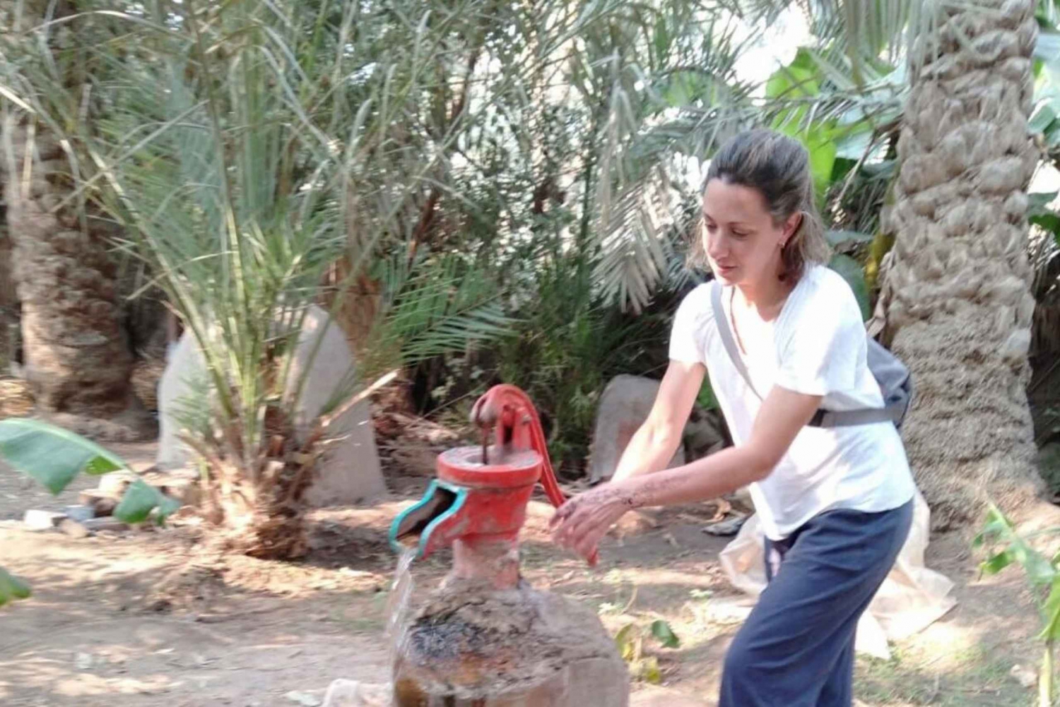 Egyptens landlige dagstur