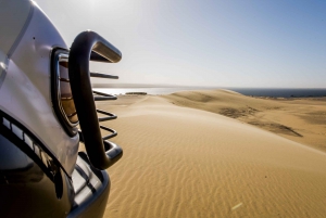 From Cairo: 4x4 Desert Safari with Sandboarding & Camel Ride