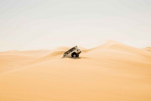 From Cairo: 4x4 Desert Safari with Sandboarding & Camel Ride