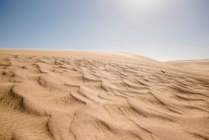 From Cairo: 4x4 Desert Safari with Sandboarding & Camel Ride