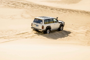 From Cairo: 4x4 Desert Safari with Sandboarding & Camel Ride