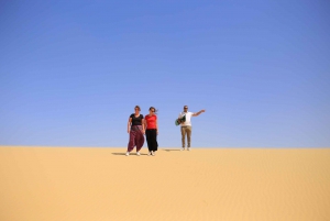 From Cairo: 4x4 Desert Safari with Sandboarding & Camel Ride