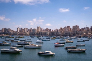 From Cairo: El Alamein and Alexandria Guided Day Tour
