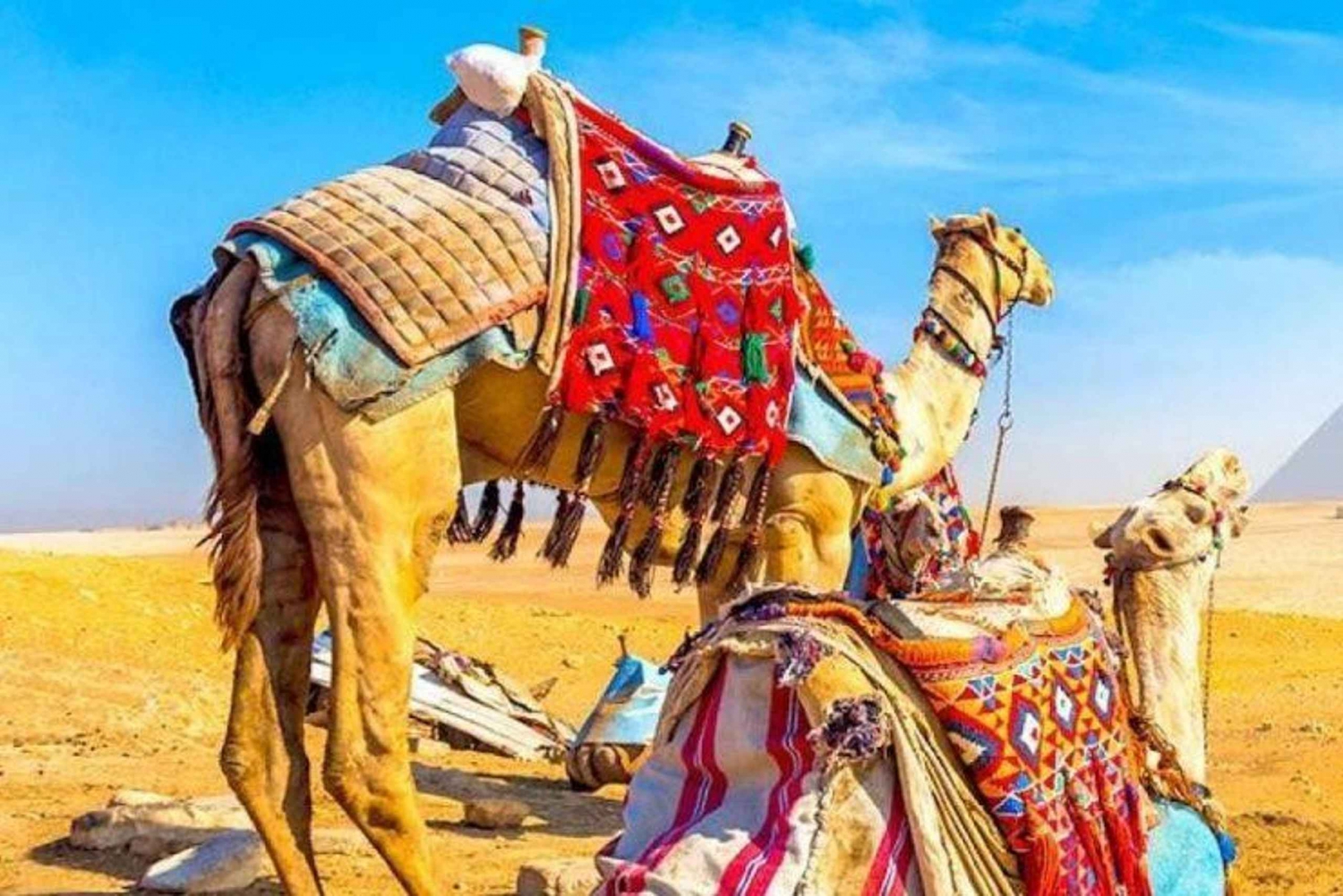 Fra Giza: Dagstur til Giza Pyramids Tour med afhentning