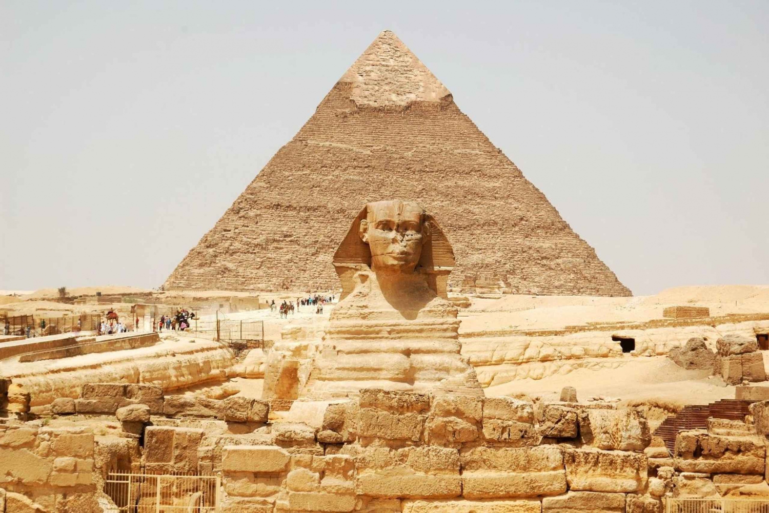 Tour di un giorno dell'Altopiano di Giza, del Museo Egizio e del Bazar dal Cairo