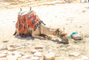 Hurghada: 3-dages tur til Kairo med fly og hotel