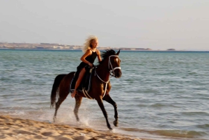 Makadi Bay: Passeggiata a cavallo nel deserto e sul mare con guida + trasferimenti