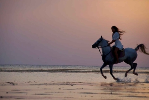 Makadi Bay: Passeggiata a cavallo nel deserto e sul mare con guida + trasferimenti