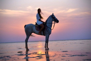 Makadi Bay: Passeggiata a cavallo nel deserto e sul mare con guida + trasferimenti