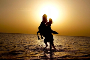 Makadi Bay: Passeggiata a cavallo nel deserto e sul mare con guida + trasferimenti