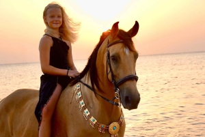 Makadi Bay: Passeggiata a cavallo nel deserto e sul mare con guida + trasferimenti