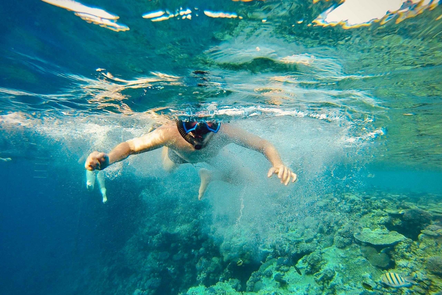 Dal Cairo: Escursione di snorkeling in barca con pranzo