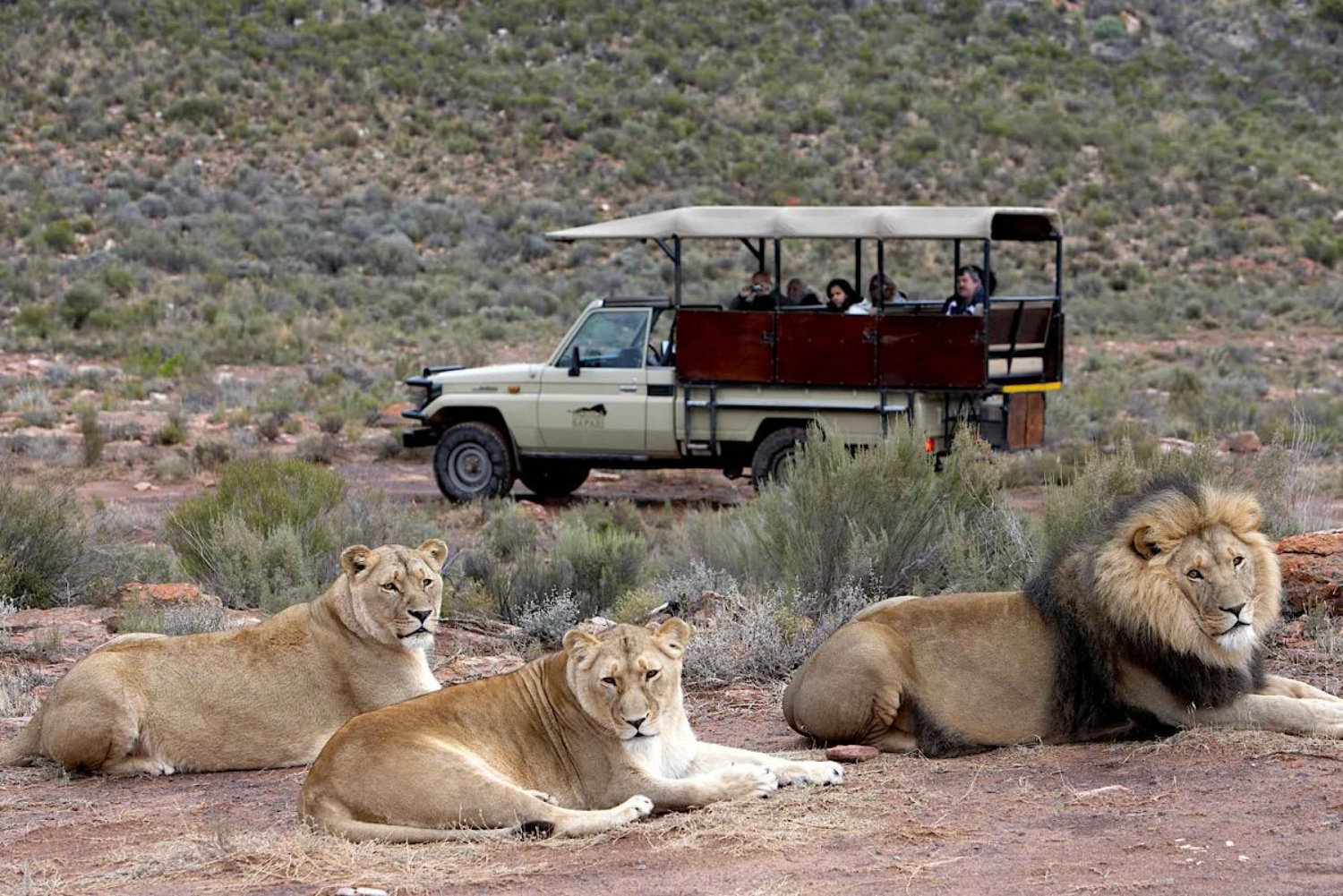 Circuit privé de 4 jours et safari de nuit à bord de l'Aquila Big5