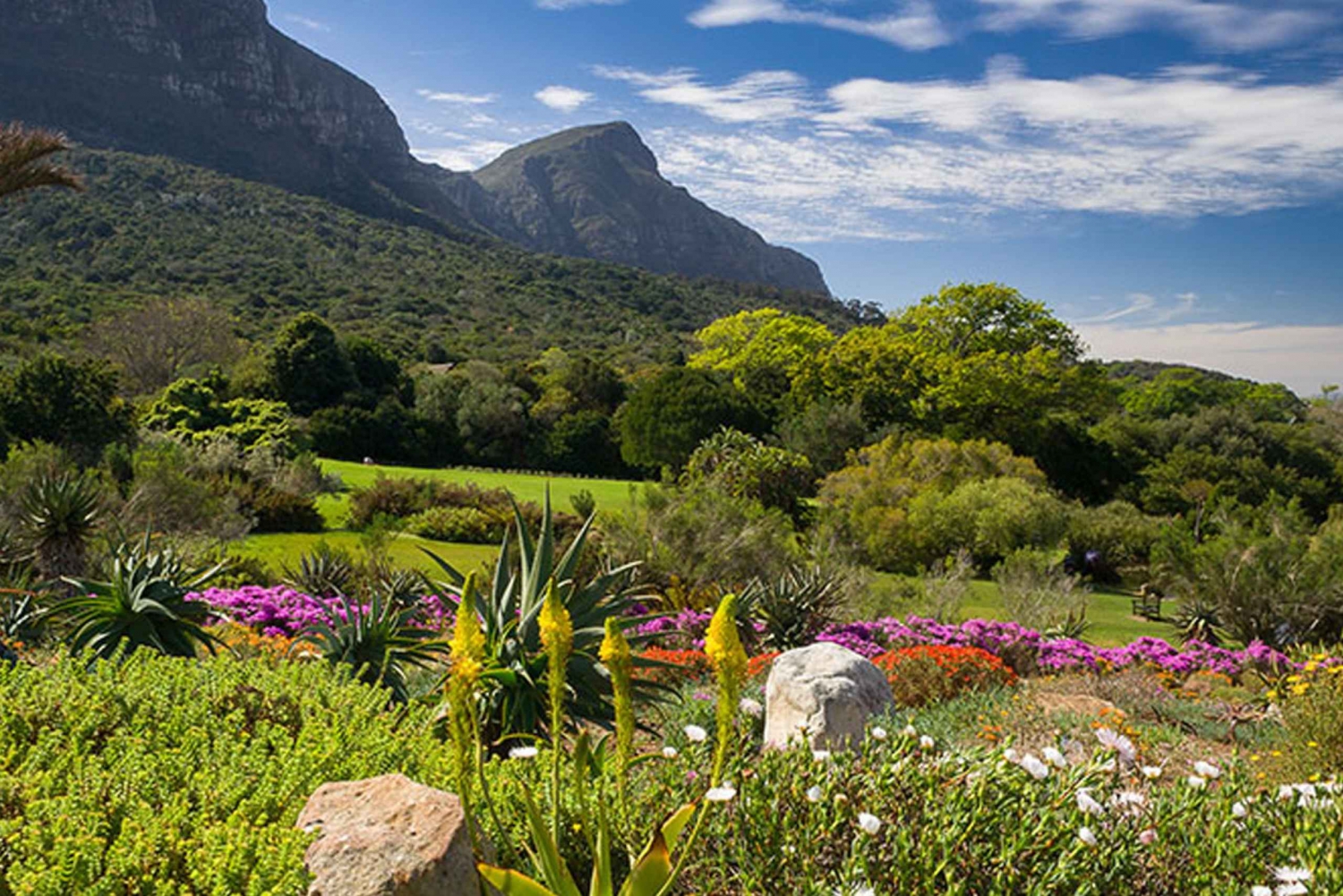 Privat omvisning i den botaniske hagen og Groot Constantia Wineries
