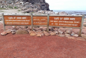 Kaap de Goede Hoop: Sightseeing en Afrikaanse pinguïntour