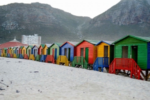 Kaap de Goede Hoop: Sightseeing en Afrikaanse pinguïntour