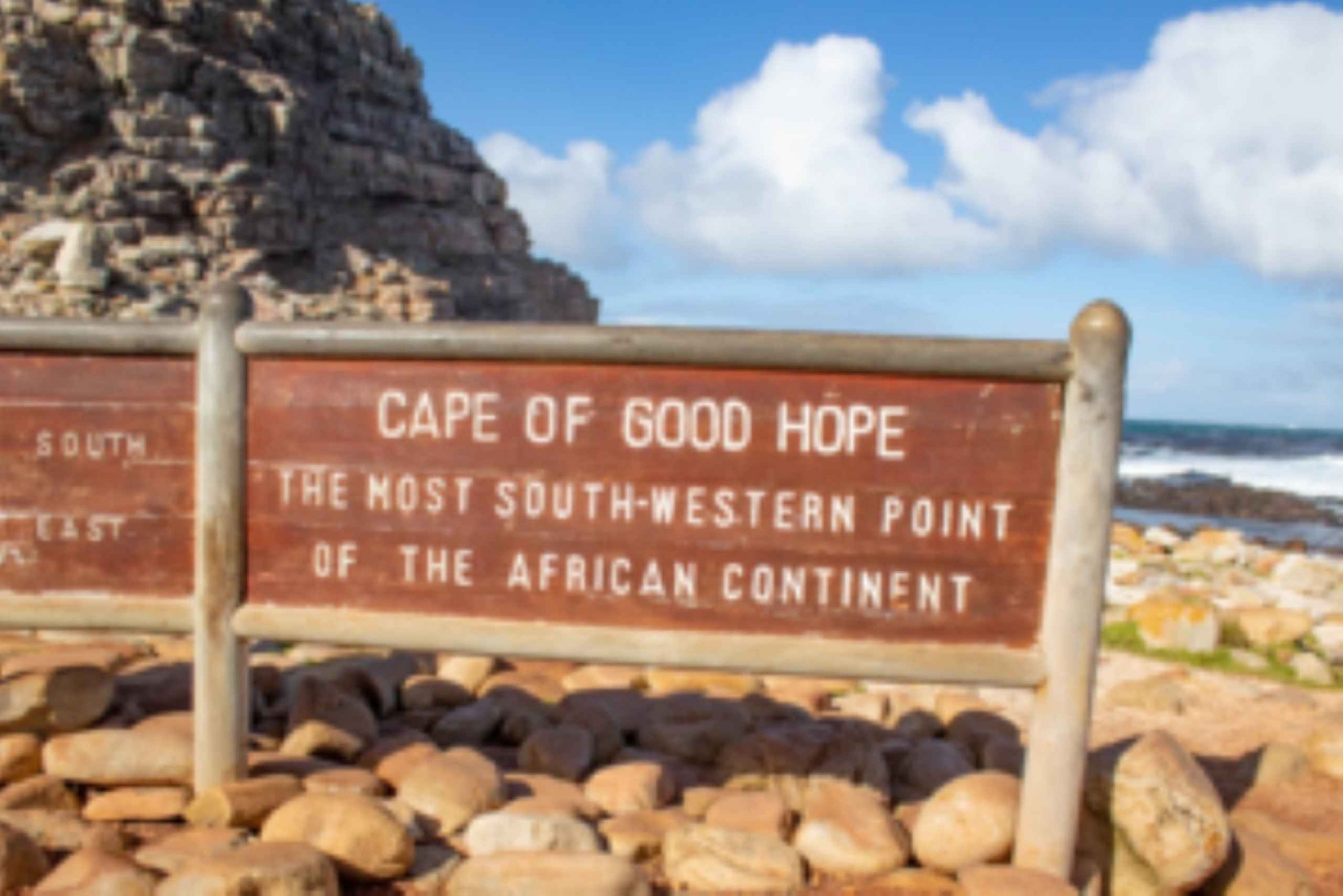 Cape Peninsula: Private Full Day Tour