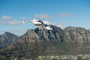 Cape Town: 12-Minute Scenic Helicopter Tour
