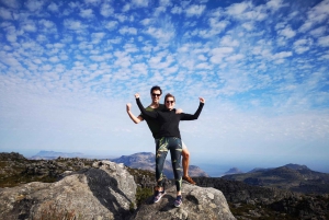 Cape Town: 3-Hour Table Mountain Hike via Platteklip Gorge