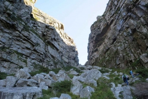 Cape Town: 3-Hour Table Mountain Hike via Platteklip Gorge