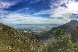 Cape Town: 3-Hour Table Mountain Hike via Platteklip Gorge