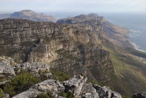 Cape Town: 3-Hour Table Mountain Hike via Platteklip Gorge