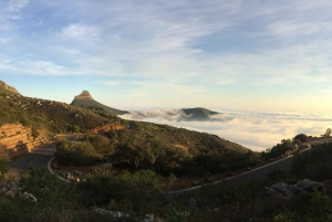 Cape Town: 3-Hour Table Mountain Hike via Platteklip Gorge