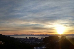 Cape Town: 3-Hour Table Mountain Hike via Platteklip Gorge