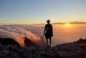 Cape Town: 3-Hour Table Mountain Hike via Platteklip Gorge