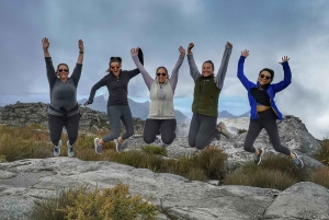Cape Town: 3-Hour Table Mountain Hike via Platteklip Gorge