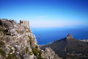 Cape Town: 3-Hour Table Mountain Hike via Platteklip Gorge